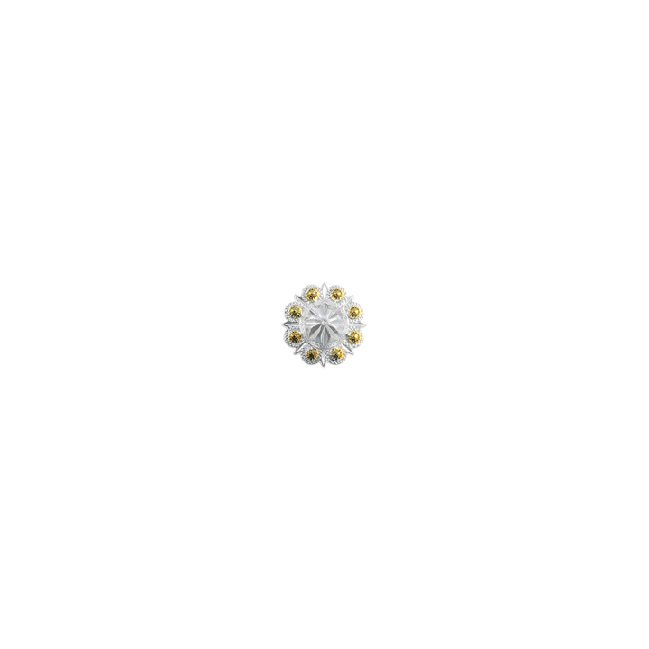 3/4 inch Berry Design Concho