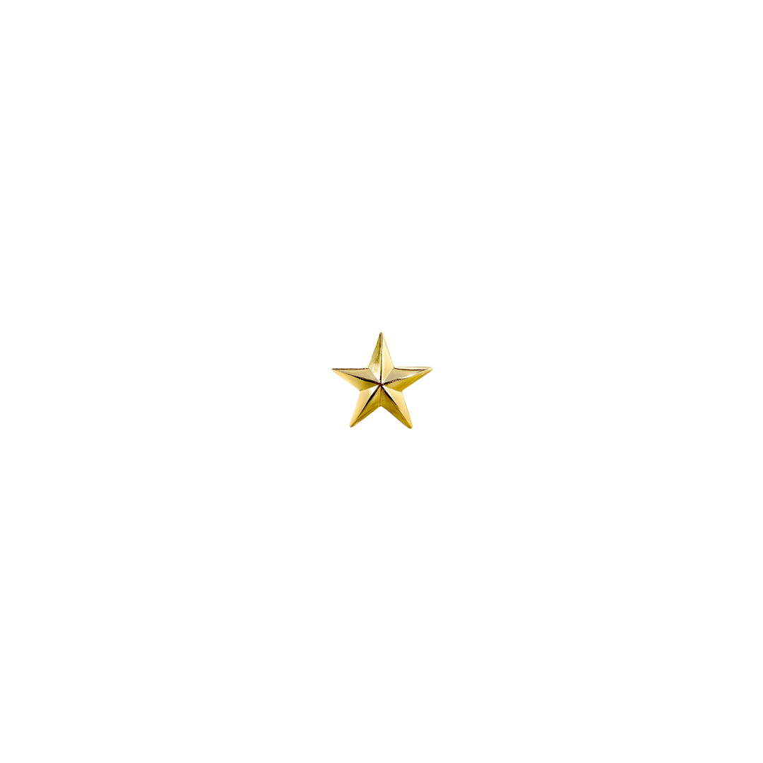 3/4 inch Star Concho