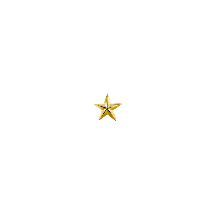 3/4 inch Star Concho