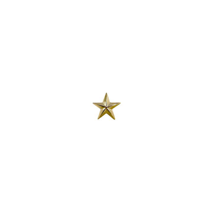 3/4 inch Star Concho