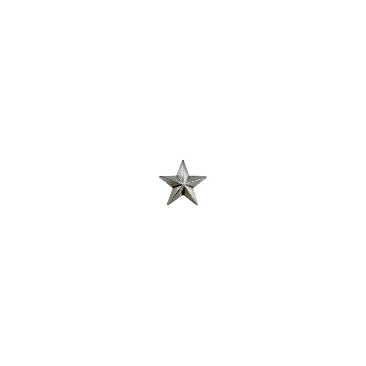 3/4 inch Star Concho