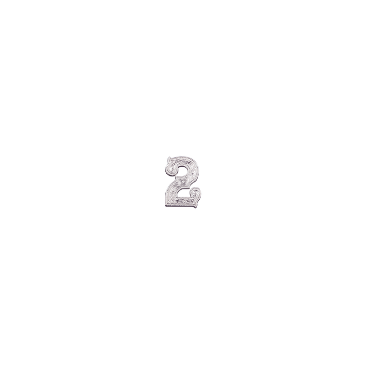 7/8 inch Number 2 Concho