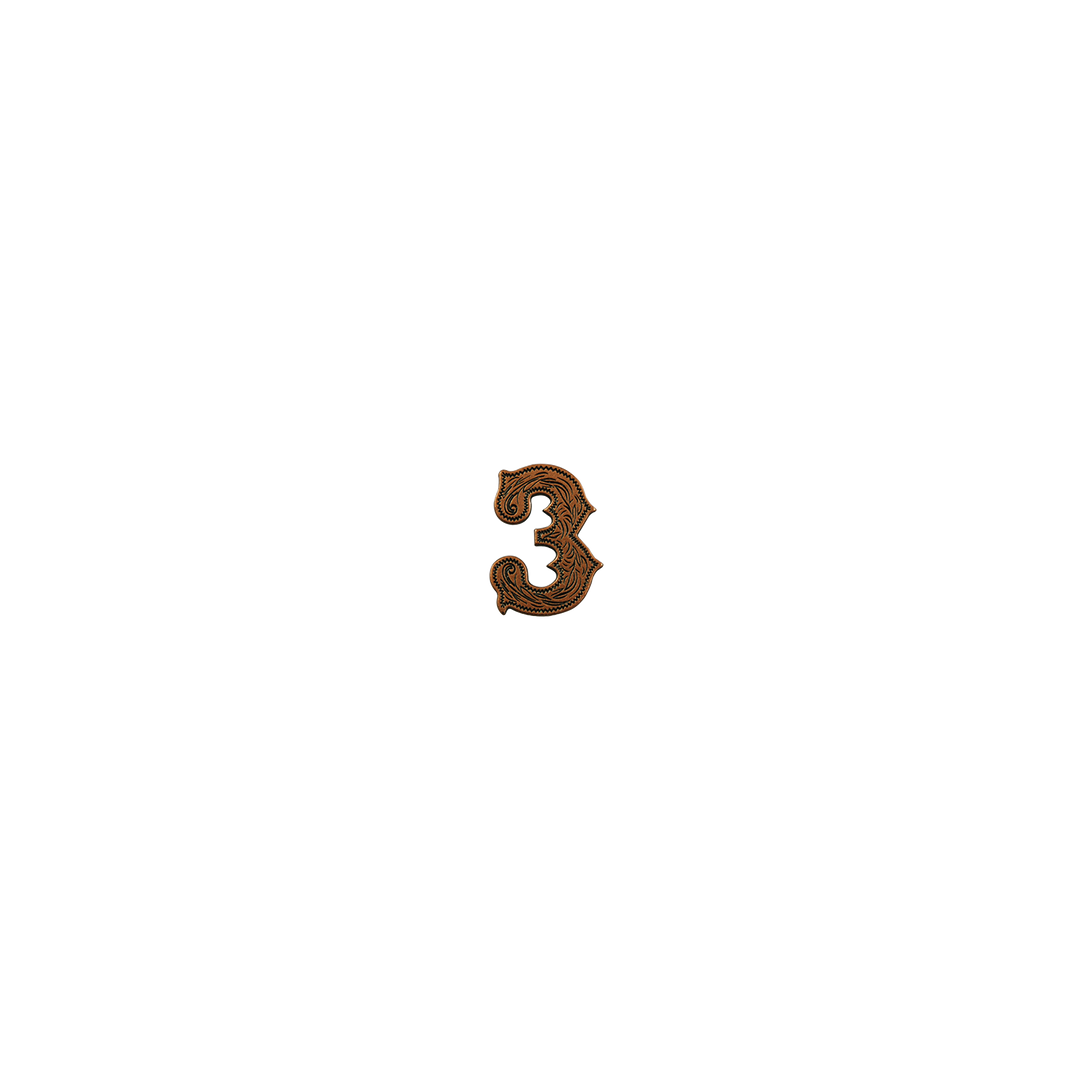 7/8 inch Number 3 Concho