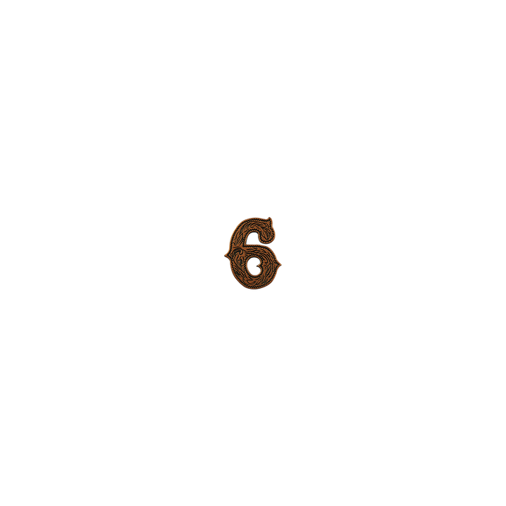 7/8 inch Number 6 Concho
