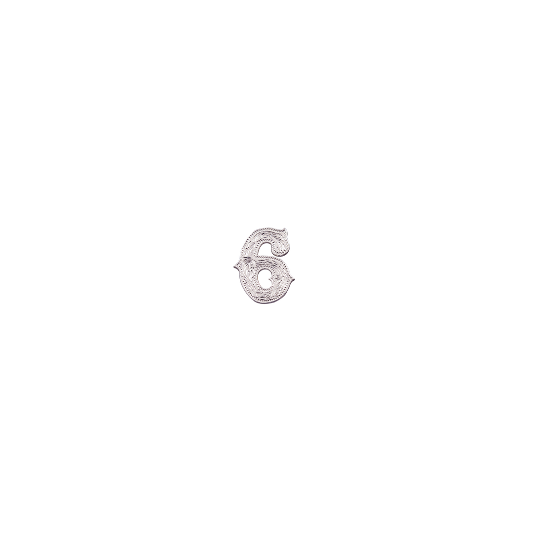 7/8 inch Number 6 Concho