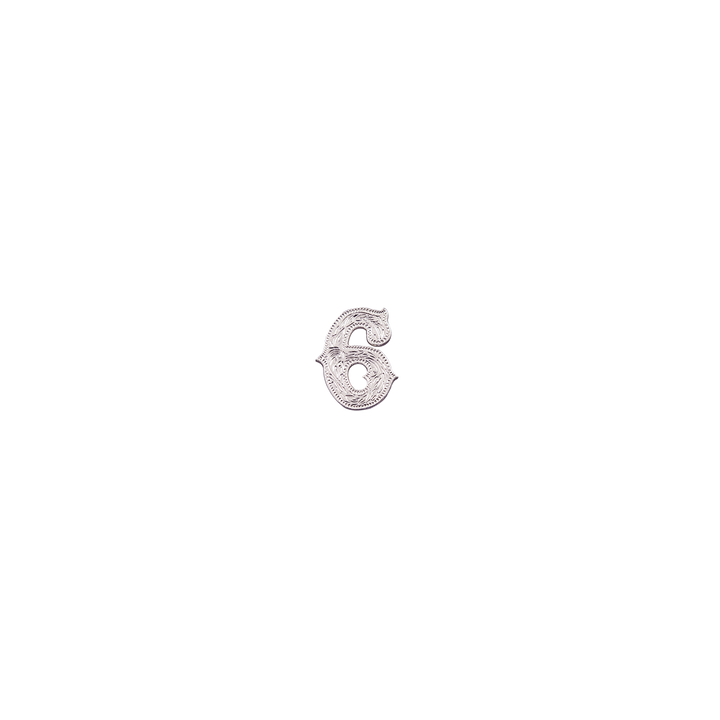 7/8 inch Number 6 Concho
