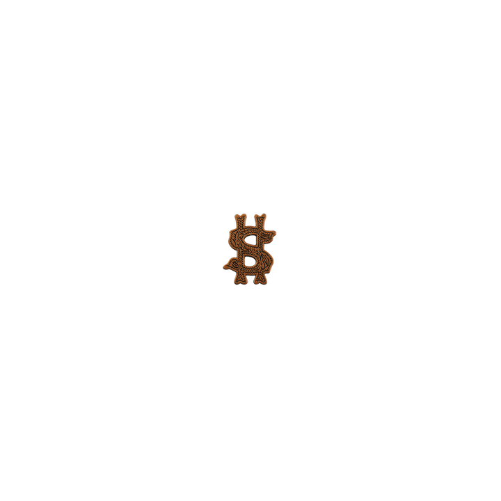 7/8 inch Dollar Sign Concho