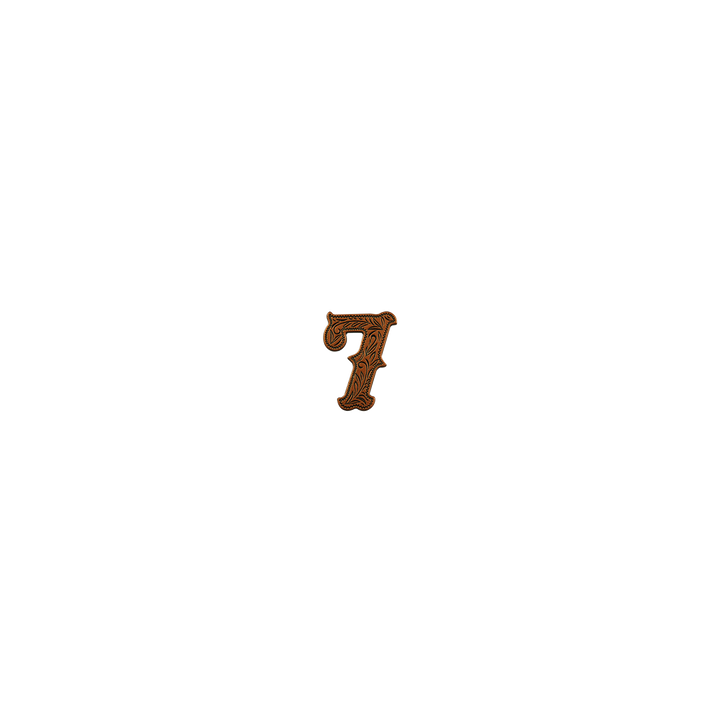 7/8 inch Number 7 Concho