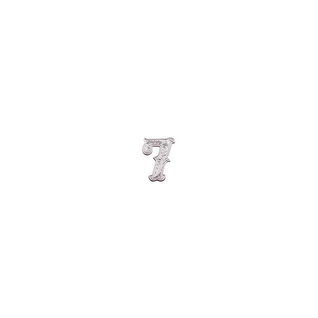 7/8 inch Number 7 Concho