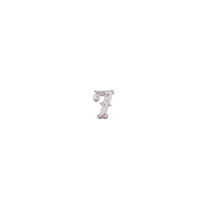 7/8 inch Number 7 Concho