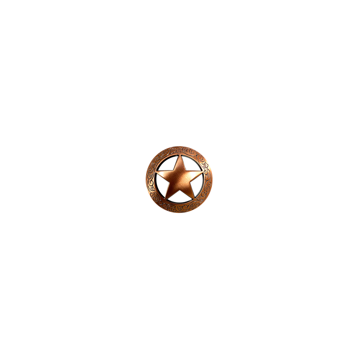 1-1/8 inch Star with Designed Edge Concho