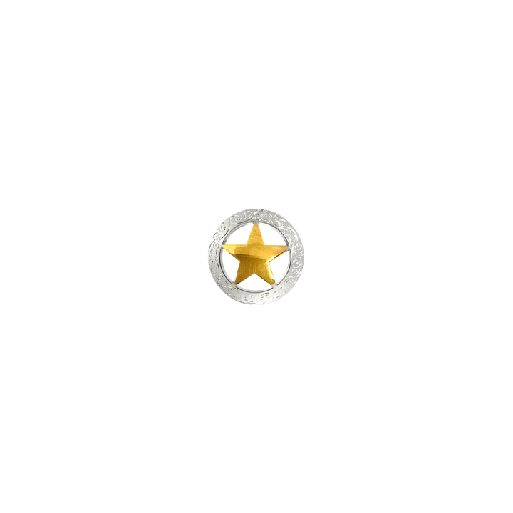 1-1/8 inch Star with Designed Edge Concho