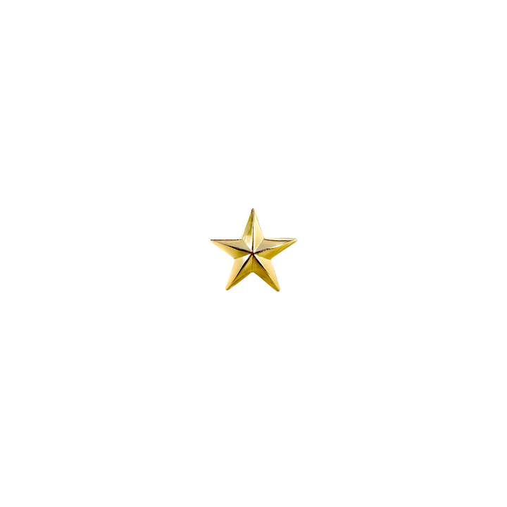1 inch Western 3D Star Concho