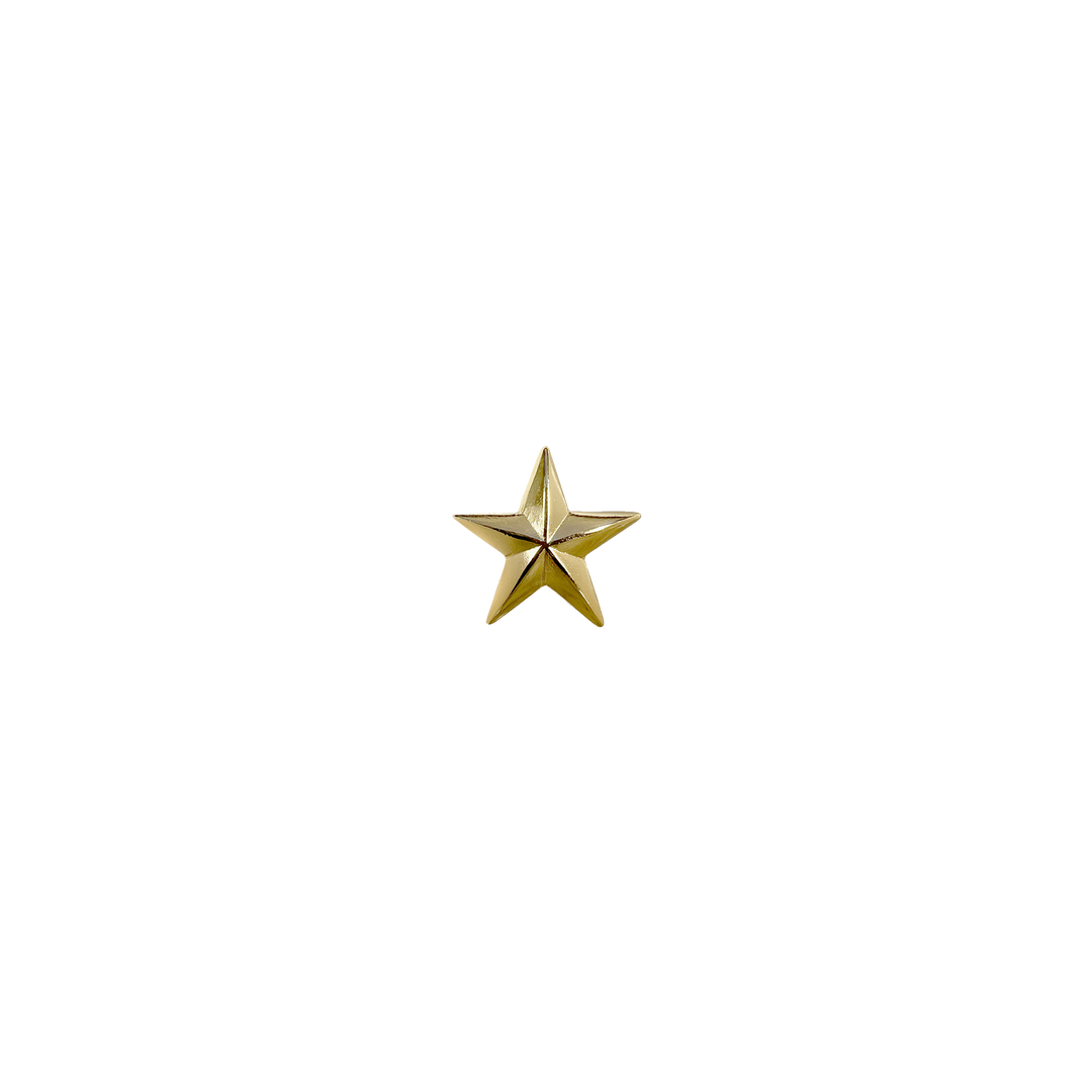 1 inch Western 3D Star Concho