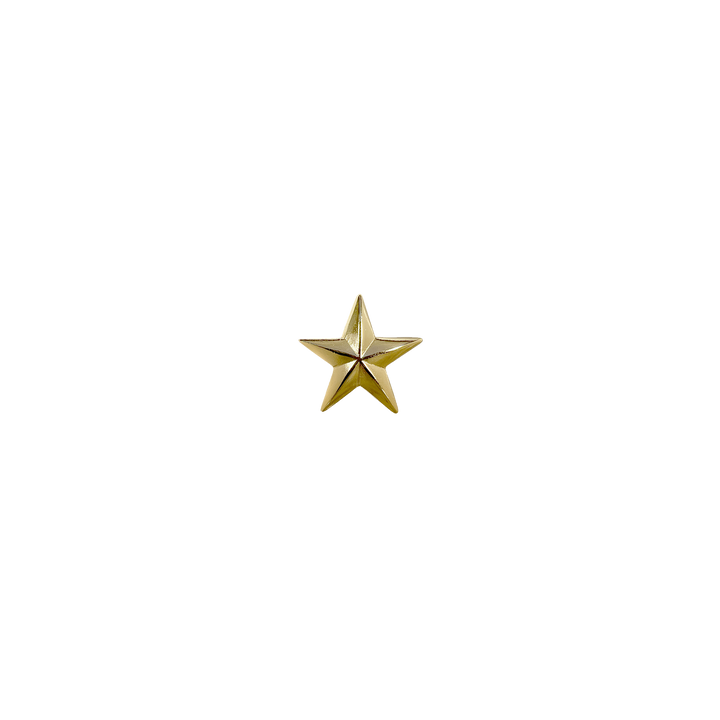 1 inch Western 3D Star Concho