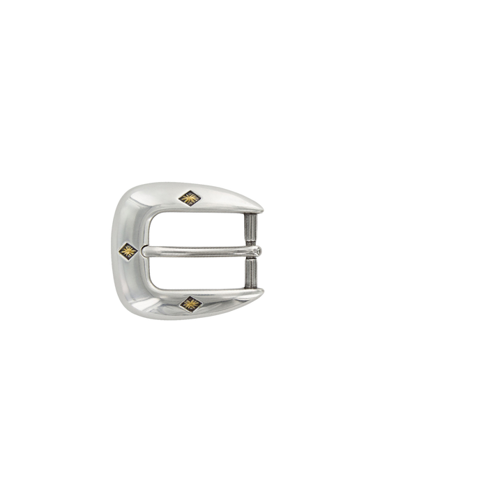1 inch Silver Western Buckle Set with Gold Accents