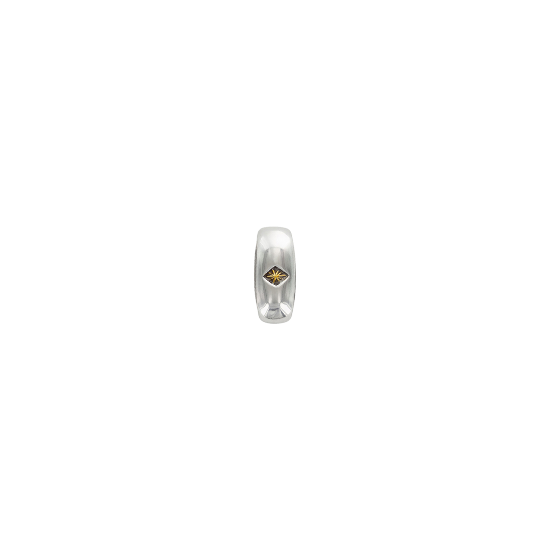 1 inch Silver Western Buckle Set with Gold Accents